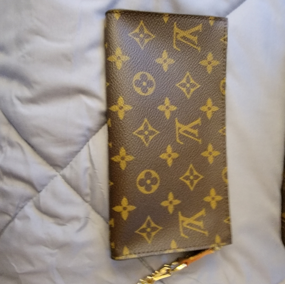 Louis Vuitton pouchette